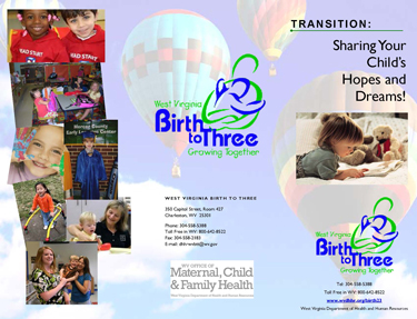 Transition Brochure