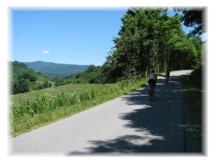 View from Lobelia Road on Droop Mt.