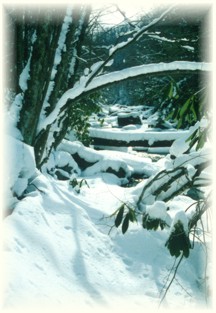 Photo of Otter Creek, Otter Creek Wilderness