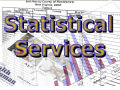 Link to Statistical Services