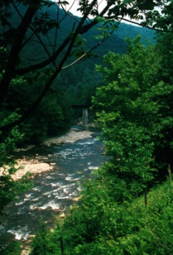 Shaver's Fork of Cheat River above Bemis