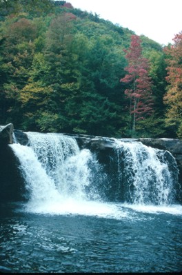 Photo of the High Falls of the Cheat