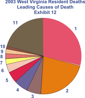 graph of 2003 WV leading casuses of death for West Virginia residents.