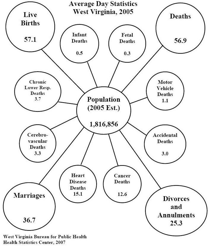 The WV 2005 Vital Statistics