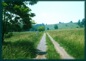 View of Greenbrier River Trail traveling through hay field.