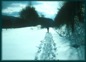 Cross country skier on the West Fork Trail