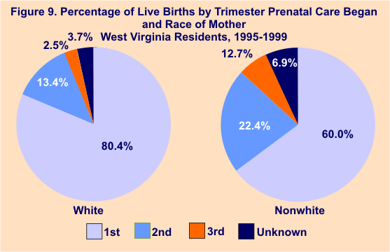 pie graphs showing percentage of live births by trimester prenatal care began and race of mother, West Virginia Residents, 1995-1999