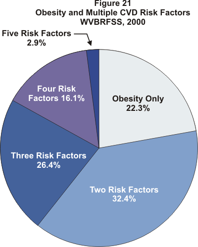 pie chart showing obesity and multiple CVD Risk Factors, WVBRFSS, 2000: Obesity only 22.3%, two risk factors 32.4%, three risk factors 26.4%, four risk factors 16.1%, five risk factors 2.9%