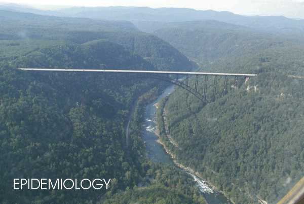 Picture of West Virginia's New River George Bridge