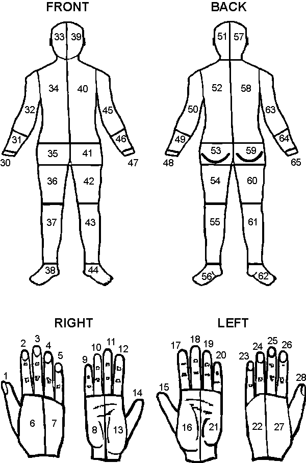 Body Part Injury Chart