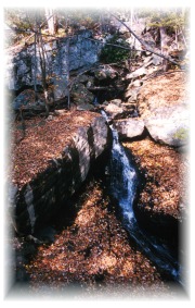 Feeder Stream in the New River Gorge