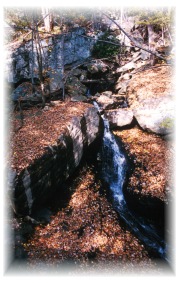 Feeder Stream in the New River Gorge