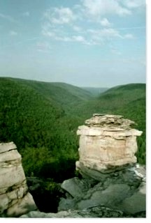 Lindy Point, Blackwater Canyon