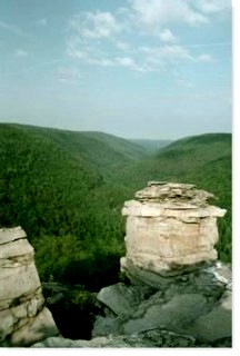 Lindy Point, Blackwater Canyon