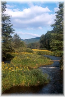 Little River north of Durbin