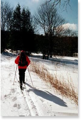 Cross Country skier in the Cranberry Glades