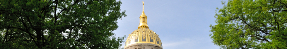 Capitol Dome