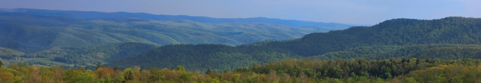 Capitol Dome